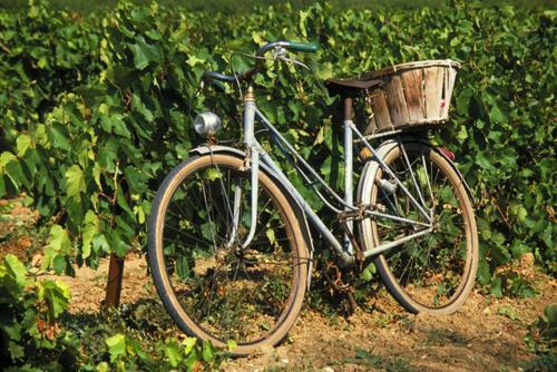 La Maison Grenadine Pres Du Canal Du Midi Tourouzelle Ngoại thất bức ảnh
